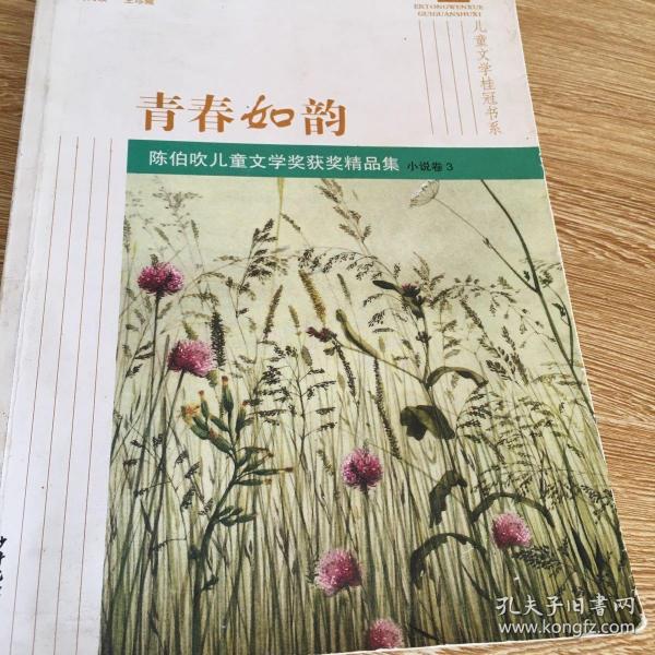 儿童文学桂冠书系 青春如韵 陈伯吹儿童文学奖获奖精品集（小说卷3）