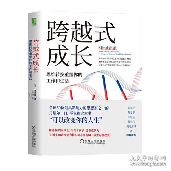 跨越式成长：思维转换重塑你的工作和生活