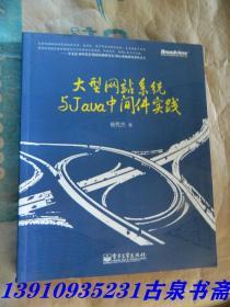 大型网站系统与Java中间件开发实践