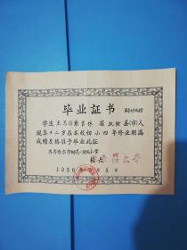 1956年齐齐哈尔师范第一附属小学毕业证书