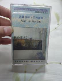 【磁带】班得瑞   迷雾森林.日光海岸(所有音像制品，版本自鉴！！！！由于属于特殊可复制性商品，售出不接受任何原因的退换，不退不换!试听可以正常播放，请看好图片下单，播放器不同，播出的声音不同，不保音质! ）
