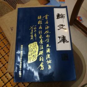 首届海峡两岸及港澳台地区疑难病特色疗法研讨会 论文集 品相很好