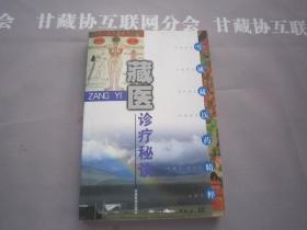 藏医诊疗秘诀 甘肃民族出版社 详见目录及摘要