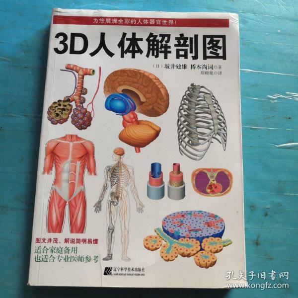 3D人体解剖图