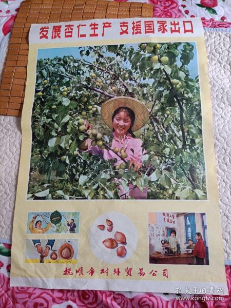 2开宣传画：发展杏仁生产支援国家出口。保老