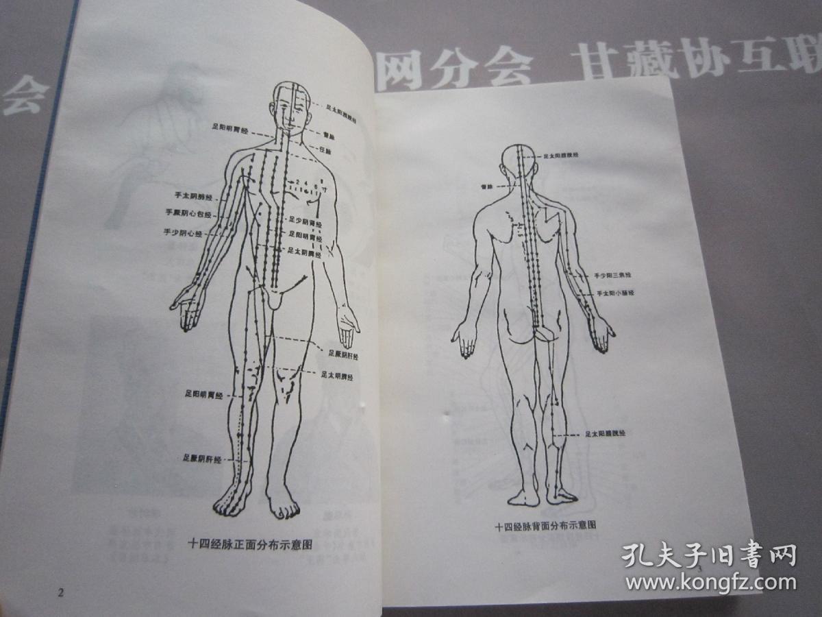 中医学中药学针灸学推拿学名词辞典 详见目录