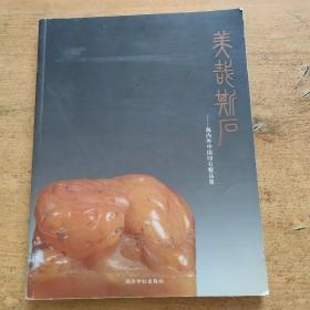 美哉斯石：海内外中国印石精品集