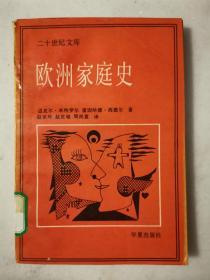 欧洲家庭史:中世纪至今的父权制到伙伴关系