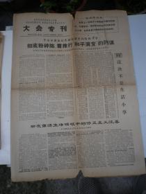 大会专刊 1967