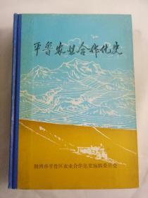 平鲁农业合作化史