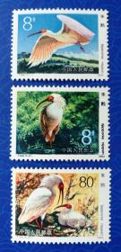 JT新邮：1984年T94“朱鹮"邮票（3枚/套，全新）