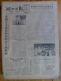 湖北日报1990年5月4日记新洲县李集河头村党总支