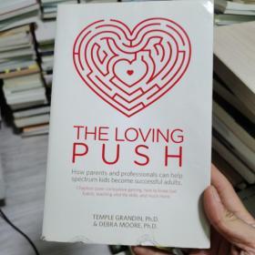 The Loving Push: How Parents and Professionals Can Help Spectrum Kids Become Successful Adults 英文原版