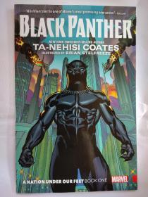 Black Panther Vol. 1 A Nation Under Our Feet(黑豹 漫威漫画)