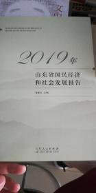 山东省国民经济和社会发展报告（2019）