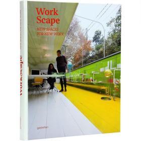 经典老书特卖  Workscape:New Spaces For New work 工作景观 建筑设计书籍