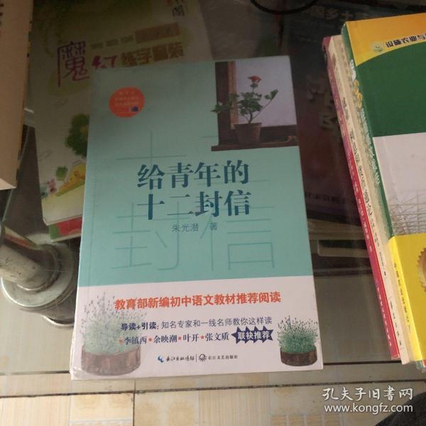 给青年的十二封信/教育部新编语文教材推荐阅读书系