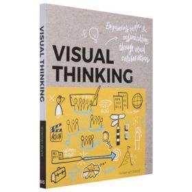 Visual Thinking 视觉思维 通过视觉赋予人们和组织力量 商业职场沟通艺术生活类书籍