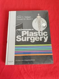 Core Procedures in Plastic Surgery      （大16开，精装 ）  【详见图】