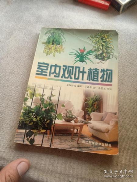 室内观叶植物