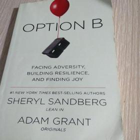 Option B: Facing Adversity, Building Resilience, and Finding Joy