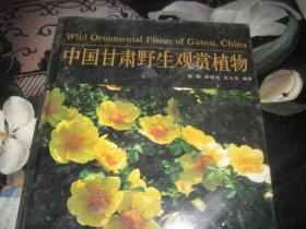 中国甘肃野生观赏植物。。