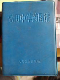 常用中草药图谱，本书收载常用中草药240种，按其临床用途分为17类，每种药物均绘有较精美的彩色图和有关性味功治的简要的文字说明，末附索引。本书收载的主要是医院药房常用品种，即临床上常用到的品种。按照药物的功效进行分类编排，每种均附有植物彩色写真照片，大部分均附有识别特征放大图。文字描述包括了别名，来源，植物形态，生境分布，药材性状，性味、功能和主治，单方、验方，现代研究等。