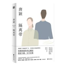 隔离带（唐颖中短篇小说系列）