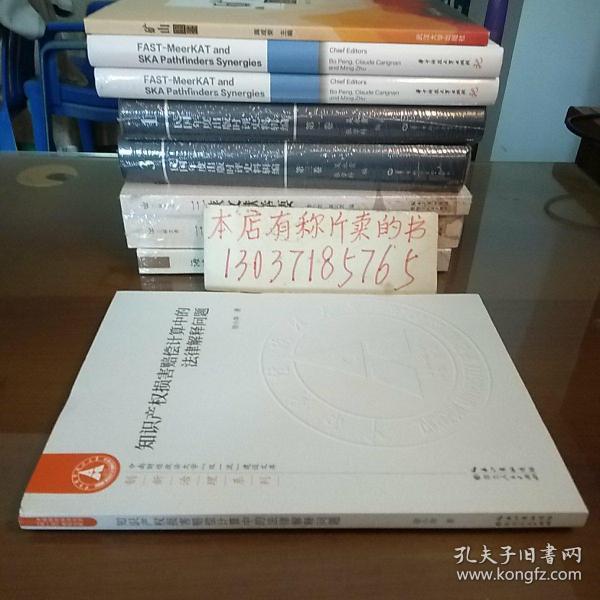 知识产权损害赔偿计算中的法律解释问题（库存书。包正版现货）