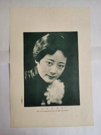 清末民国初美女，宋子文夫人，张乐怡，光艺摄。（1907—1988），江西九江庐山人，出生于避暑胜地云中山城牯岭。她是闻名九江庐山的建筑企业商人张谋之膝下的千金小姐。（画家胡伯翔及其作品：啸虎，归猎，晓风）