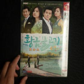 DVD   黄金鱼   简装6碟装