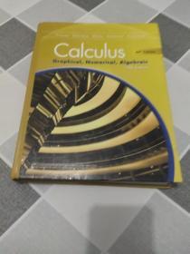 Calculus Graphical，Numerical Aigebraic Fifth Edition【请仔细看图】