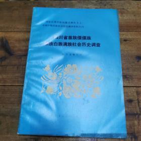 《四川省苗族 傈僳族 傣族 白族 满族社会历史调查》1985年四川社科院出版