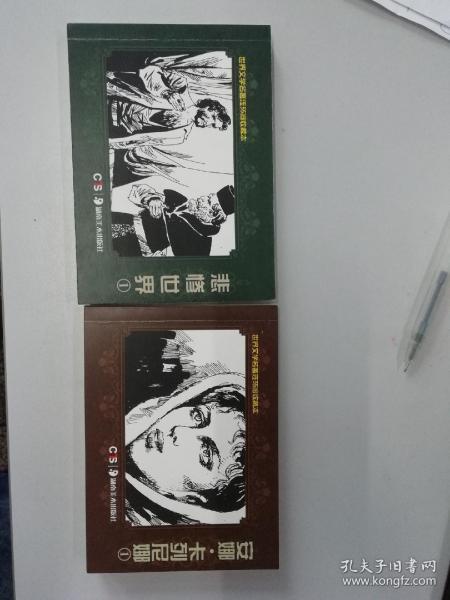 悲惨世界 安娜卡列尼娜 连环画