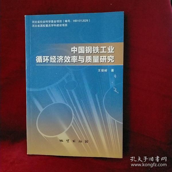 中国钢铁工业循环经济效率与质量研究