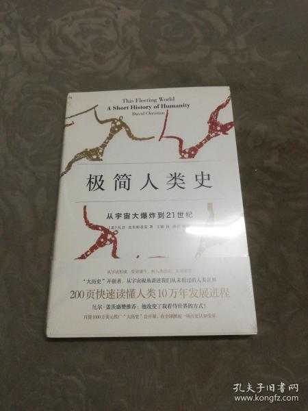 极简人类史：从宇宙大爆炸到21世纪