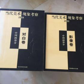 当代美术现象考察 2004 中国画部分 【影像卷】【对白卷】共2本合售