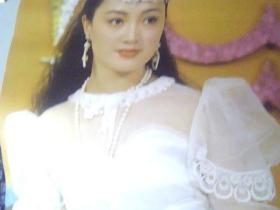 1992年明星之光挂历13张全