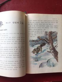 朝鲜文原版 韩文原版원색파노라마 소년소녀세계문학：위대한 왕 외