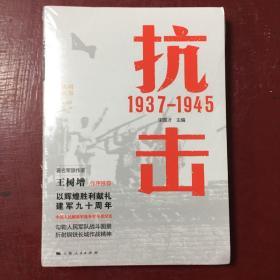 胜利丛书-抗击（1937-1945）