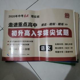 走进重点高中. 初升高入学拔尖试题. 语文