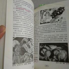 外国美术史——高等艺术院校教材