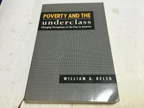 英文原版 poverty and the  underclass changing perceptions of the poor in america 贫困和底层阶级改变了美国人对穷人的看法 内柜4  2层