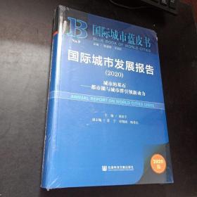 国际城市蓝皮书：国际城市发展报告2020