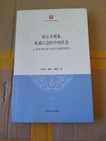 柏万青现象：黄埔江边的中国社会（上海草根社群志愿活动案例研究）