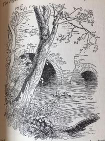 The Wind in the Willows by Kenneth Grahame -- 格雷厄姆《柳林风声》1953年老版书 Shepard经典插画