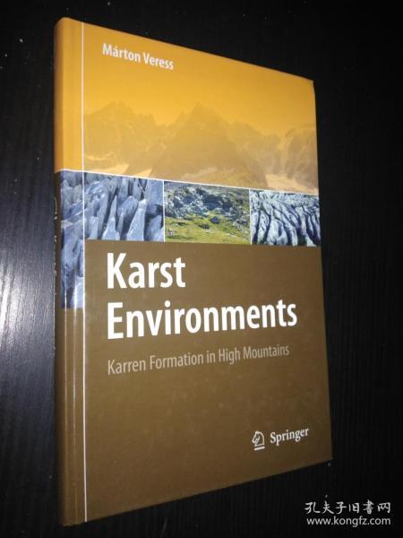 Karst Environments : Karren Formation in High Mountains-岩溶环境：高山岩溶地层（英文原版）