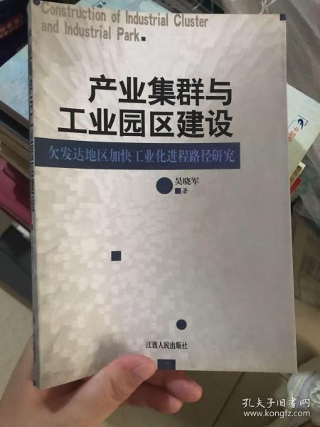 产业集群与工业园区建设：欠发达地区加快工业化进程路径研究