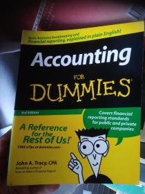 Accounting For Dummies 外文原版