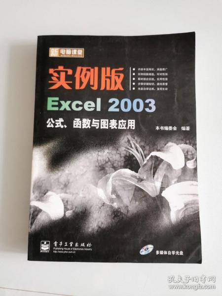 新电脑课堂：实例版Excel 2003公式、函数与图表应用
